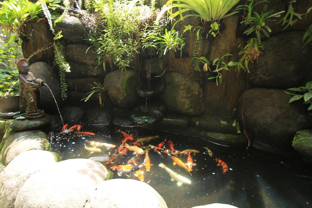Baba Gasthuis Ubud